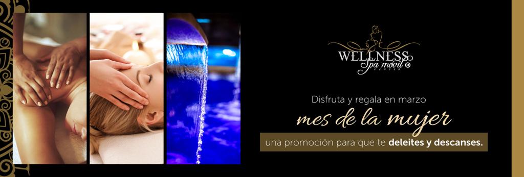 Wellness Spa Movil Center / El mejor Spa en Bogota Cali Medellin Barranquilla
